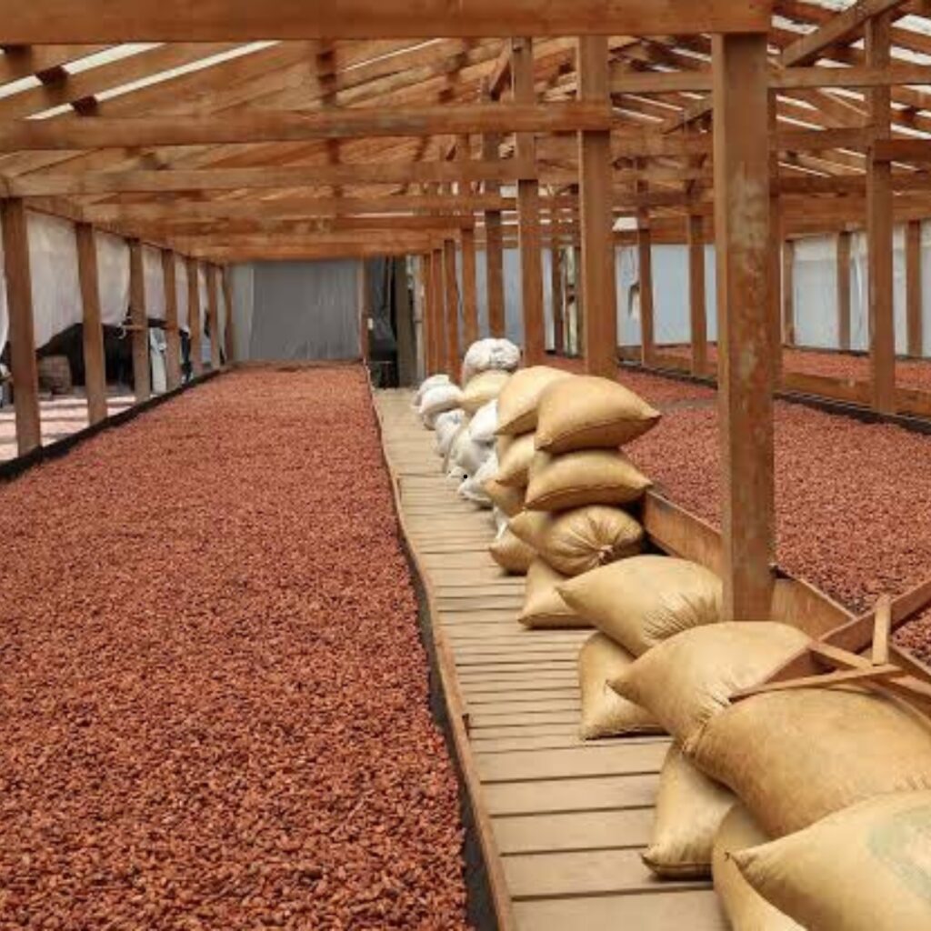 Kazolars GLOBAL NIGERIA LIMITED
